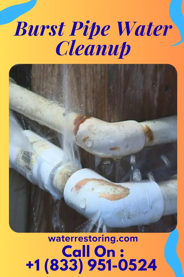 Burst Pipe Water Cleanup in Dilley, TX