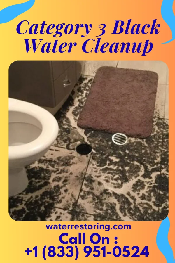 Category 3 Black Water Cleanup in Dilley, TX
