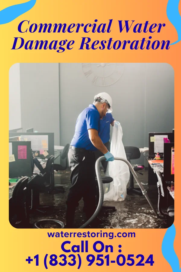 Commercial Water Damage Restoration in Dilley, TX