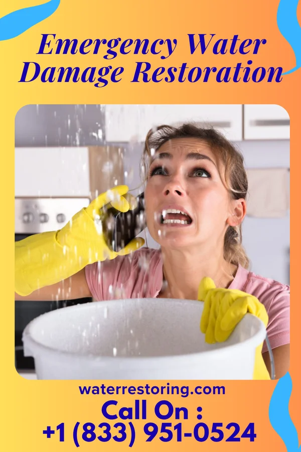 Emergency Water Damage Restoration in Dilley, TX