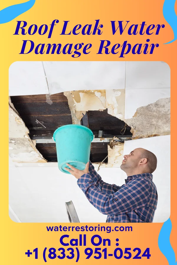 Roof Leak Water Damage Repair in Dilley, TX