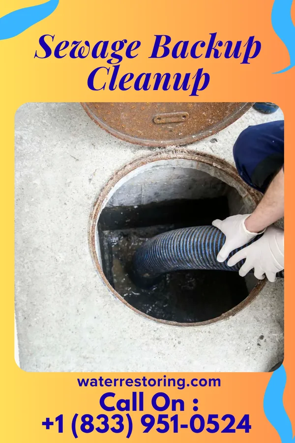 Sewage Backup Cleanup in Dilley, TX